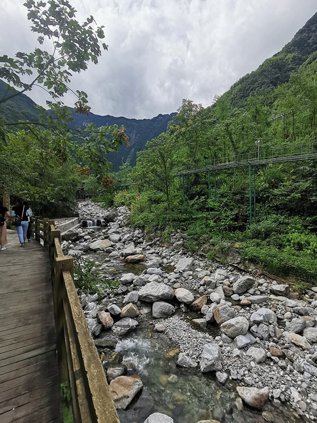 1665728168975444D348.jpg 5.jpg