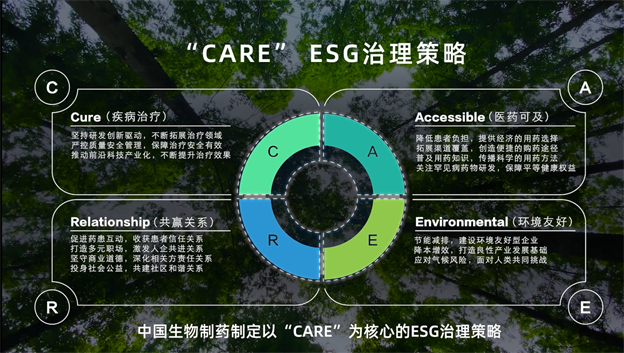 173085331010481215E1.png 3.png