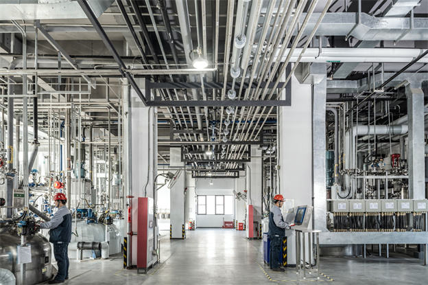 1734662061656708p21F.jpg 3.jpg